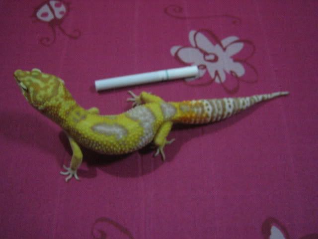 bbb025.jpg