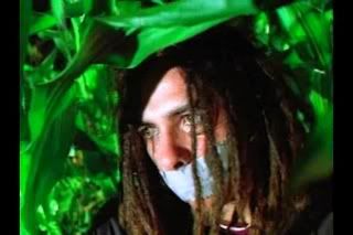 Korn - 11 Video Clips