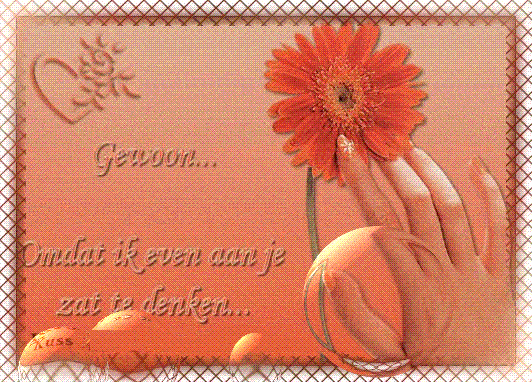 bloem.gif gewoon image by olegrieze