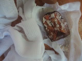 Apple Mummies