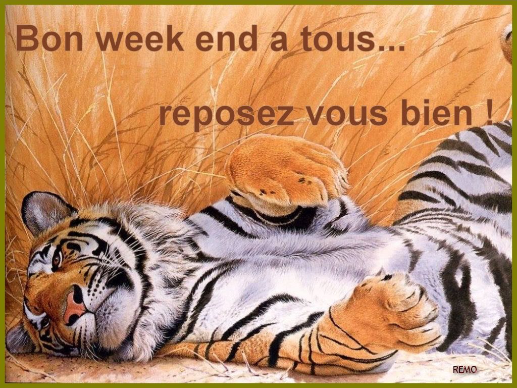 bon week end Pictures, Images and Photos