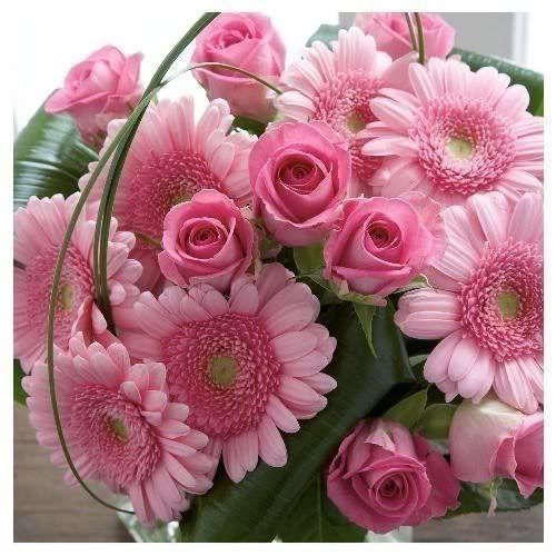 florerosadas.jpg picture by NanitaCol1