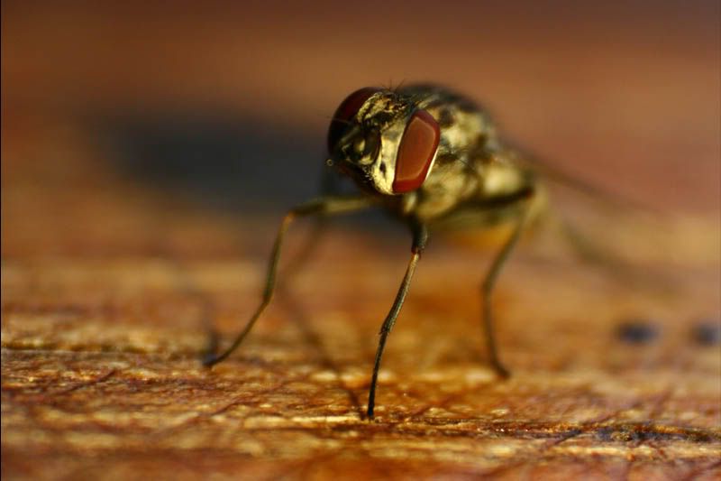 IMAGE: http://i183.photobucket.com/albums/x276/kaddafy/0354.jpg