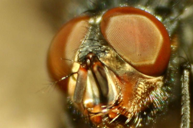 IMAGE: http://i183.photobucket.com/albums/x276/kaddafy/Untitled-1.jpg