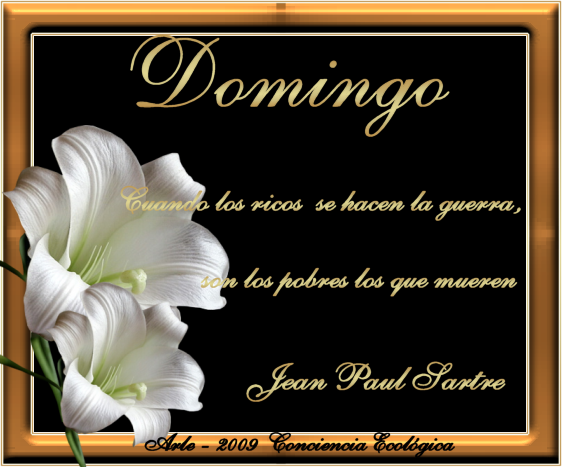 DOMINGO.png picture by arlequin_album