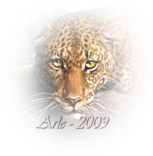 LAYFELINAseparador.png picture by arlequin_album