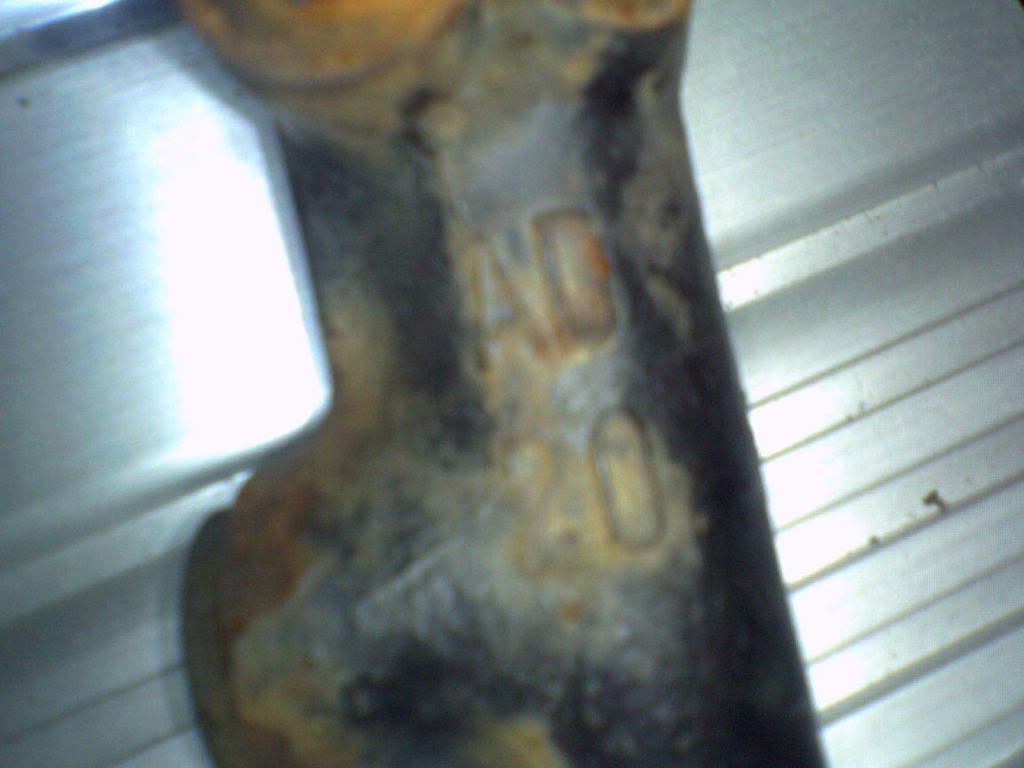 SP_A0099.jpg