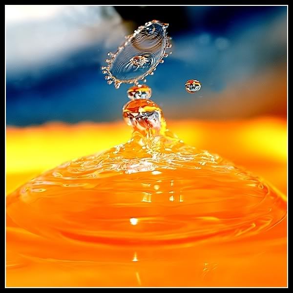 Damla ve Ya�mur Resimleri (2. Katalog)