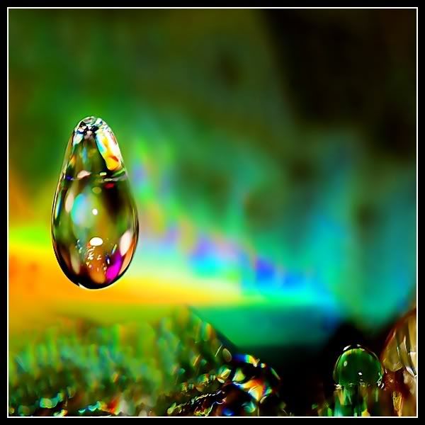 Damla ve Ya�mur Resimleri (2. Katalog)