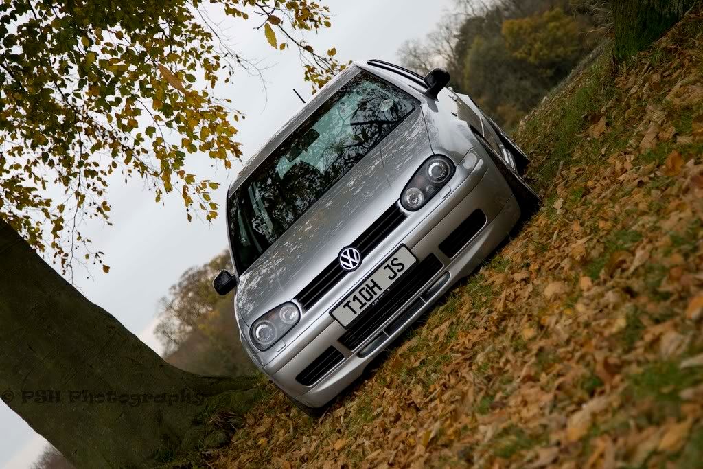 11112007006.jpg