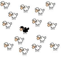black sheep Pictures, Images and Photos