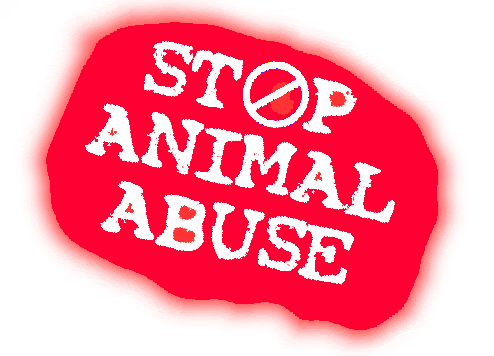 animal beating