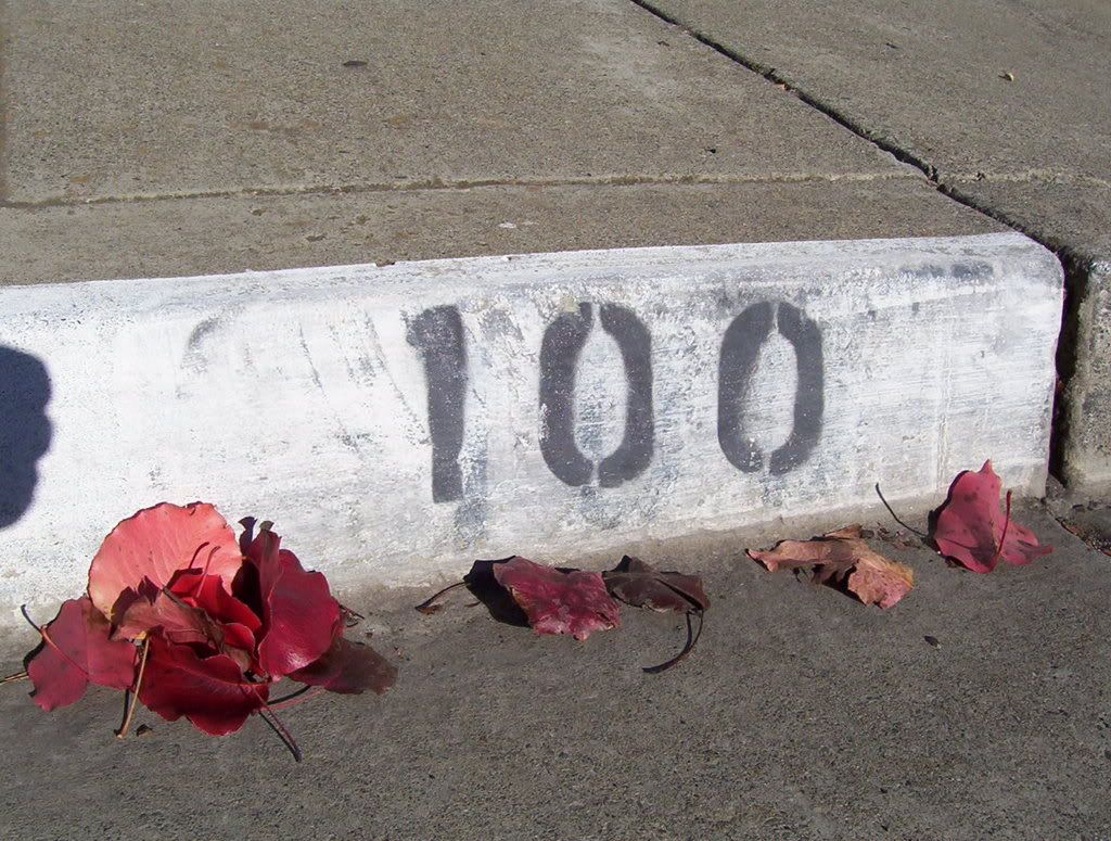 100 REYNARD LANE number Pictures, Images and Photos