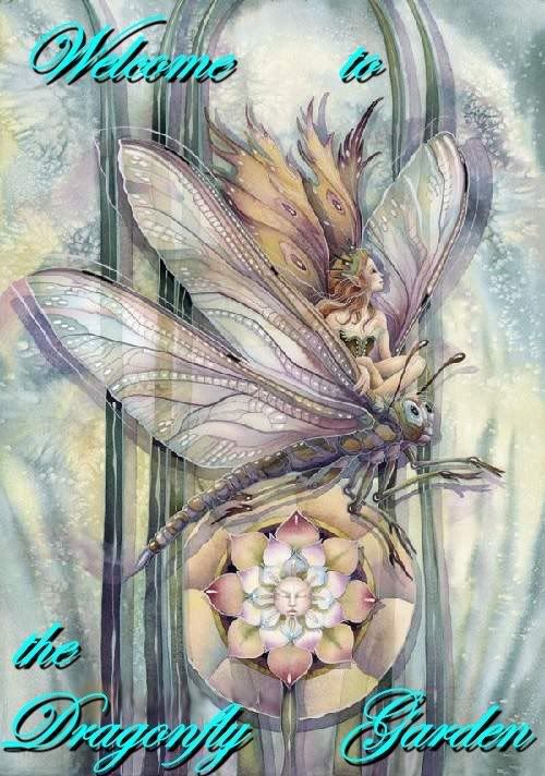 1b9dre2.jpg dragonfly garden picture by crypter2000