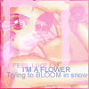 flowerinsnow2.gif