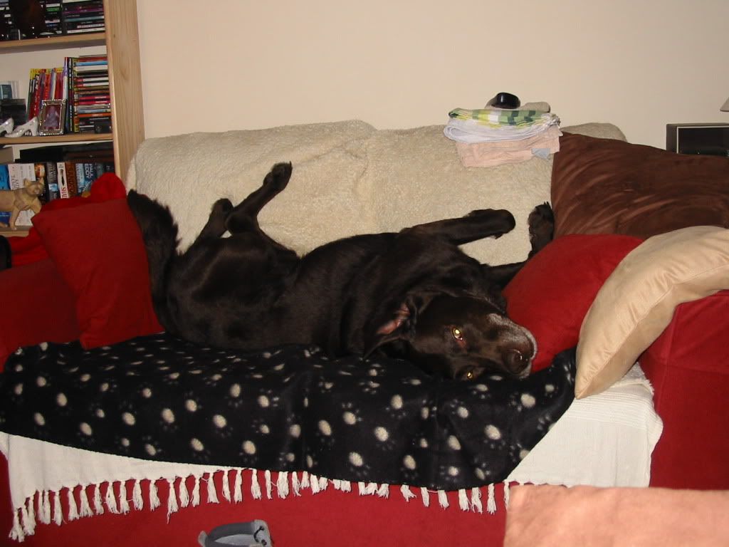 Bensofa4.jpg