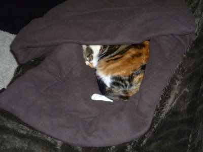 P1000126-1.jpg