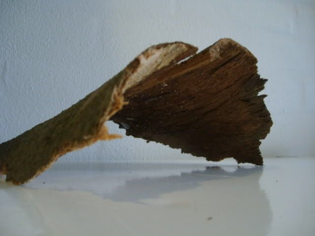 Billede