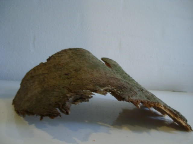 Billede