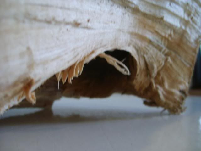 Billede