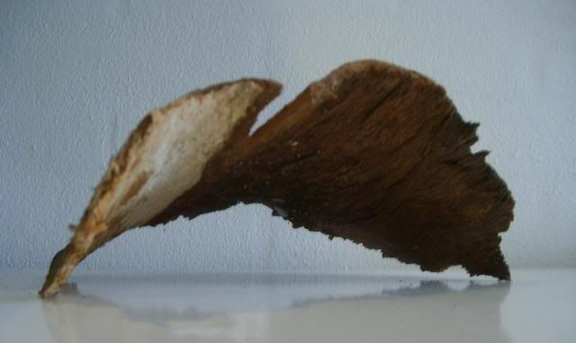 Billede