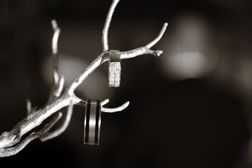 IMAGE: http://i183.photobucket.com/albums/x40/maxwax13/img_1037DS.jpg