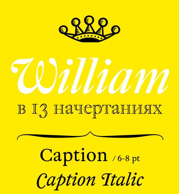 шрифт William в 13-ти начертаниях Photobucket