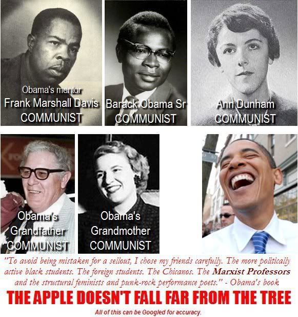 Obama A Communist?, Obama A Communist?