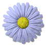 Button.gif Button image by maindhan