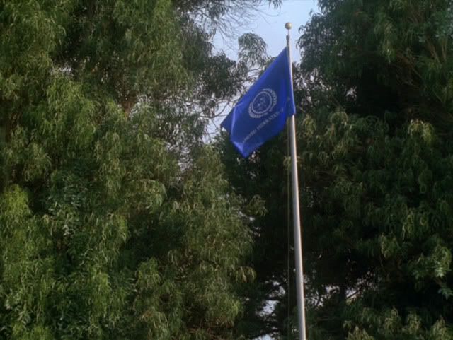 Flag.jpg