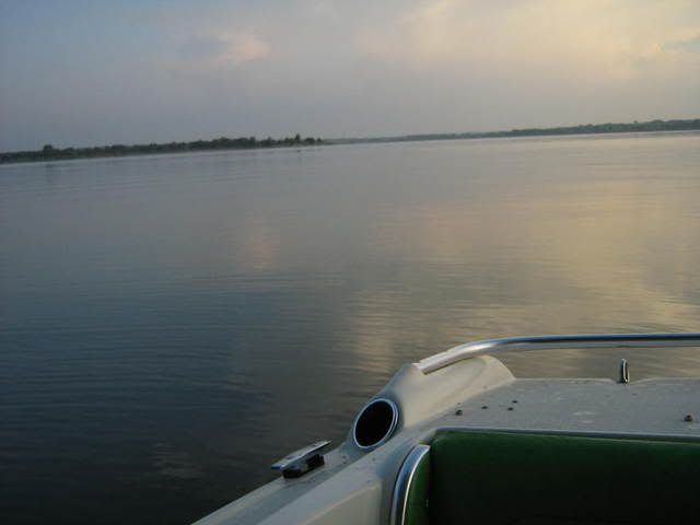 IMG_3390.jpg