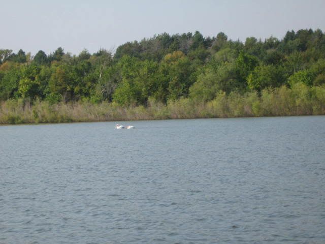 IMG_4024.jpg