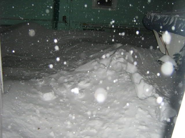 IMG_5938.jpg