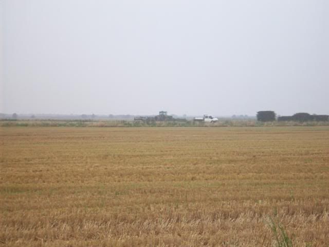 Harvest08001-1.jpg