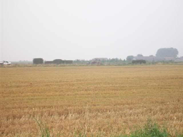 Harvest08002-1.jpg