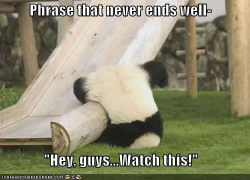 funny_pictures_panda_does_a_trick_a.jpg