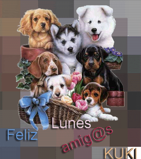 felizlunes.gif picture by mima_049