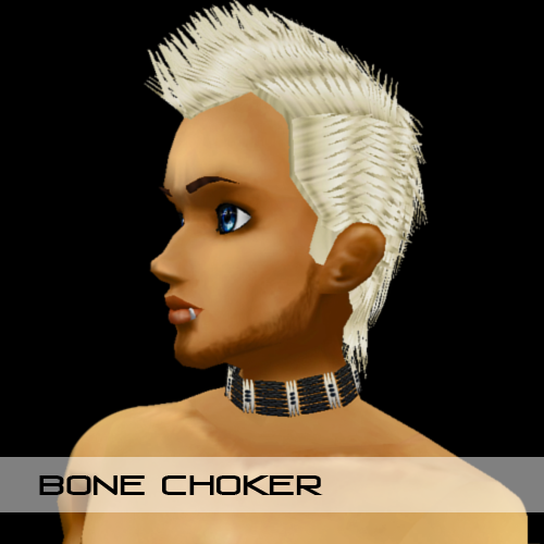 Native Bone Choker