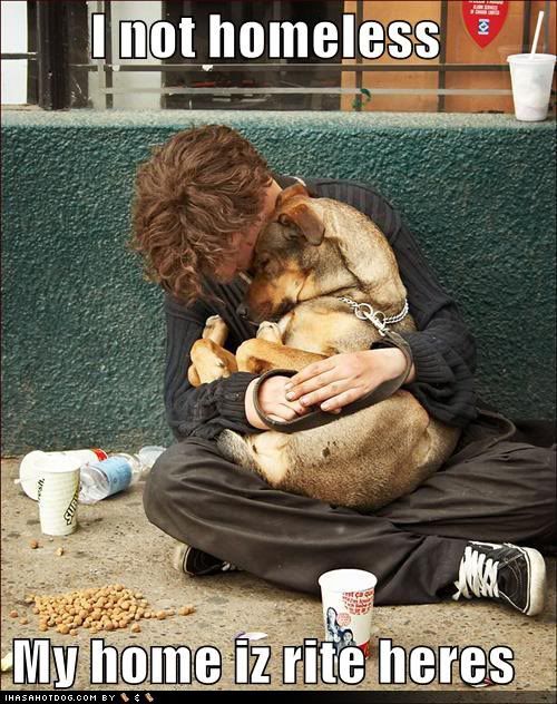 homelessdoghug.jpg