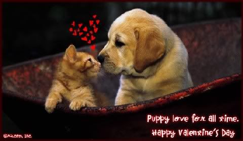 Valentines Pictures, Images and Photos