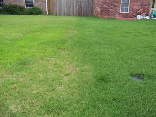 100_1751.jpg