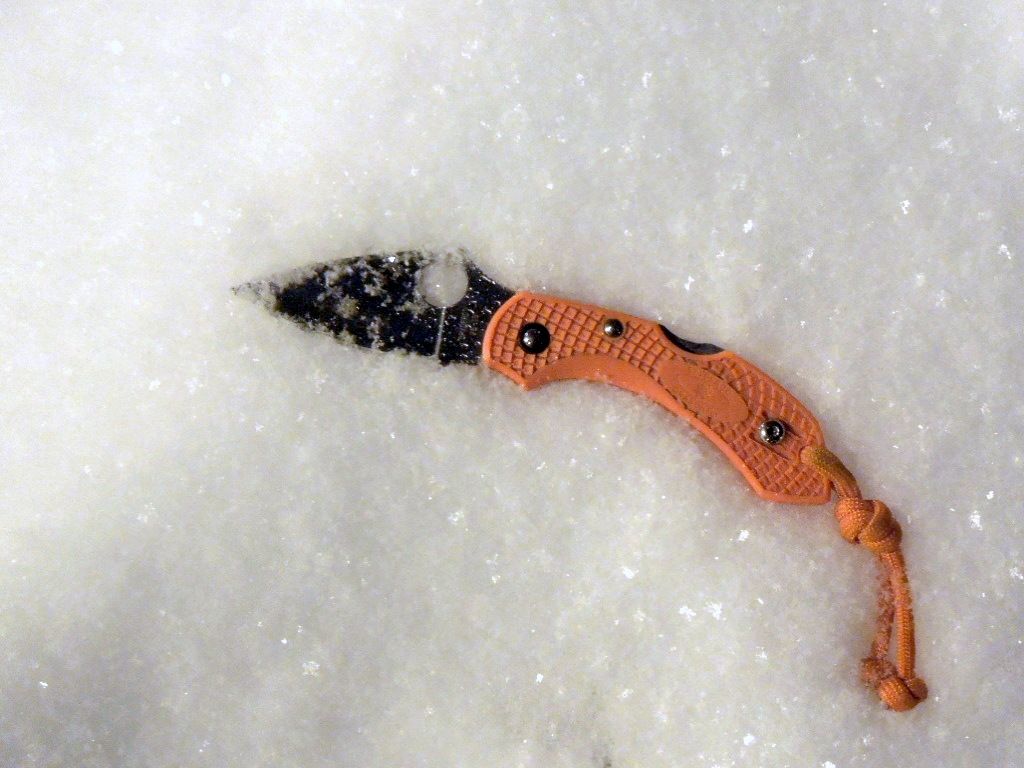 Dragonfly_snow_NYC_zps4743adb5.jpg