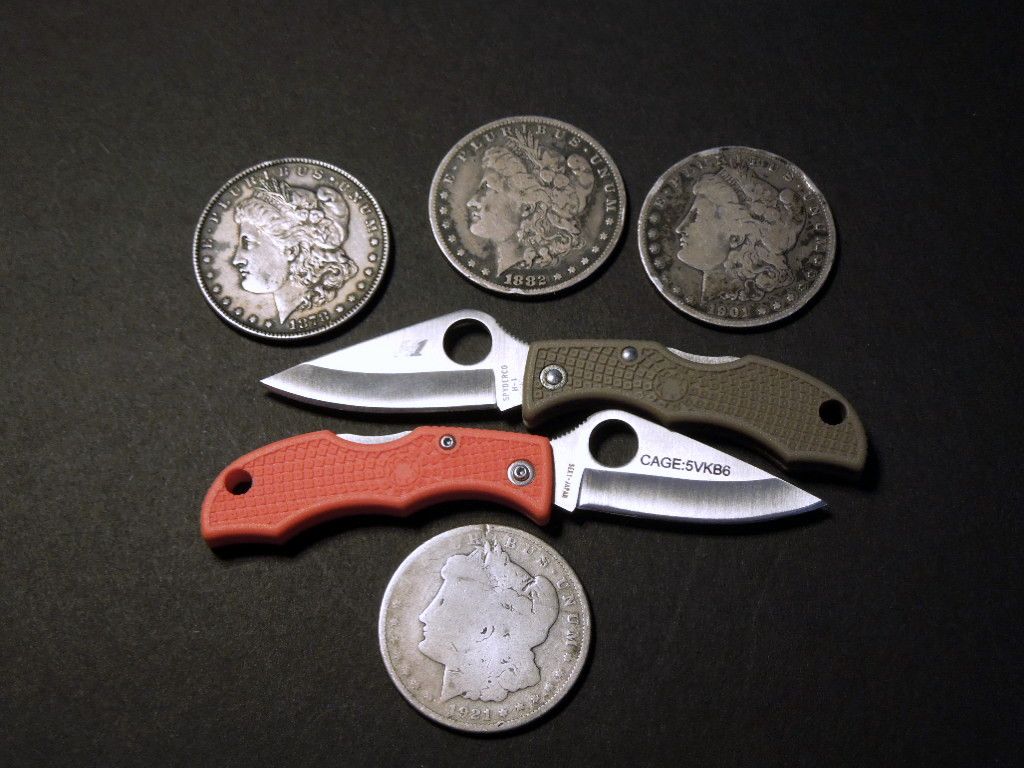 SpydercoLadybugSaltH1-SilverDollars.jpg