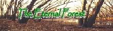 The Eternal Forest banner